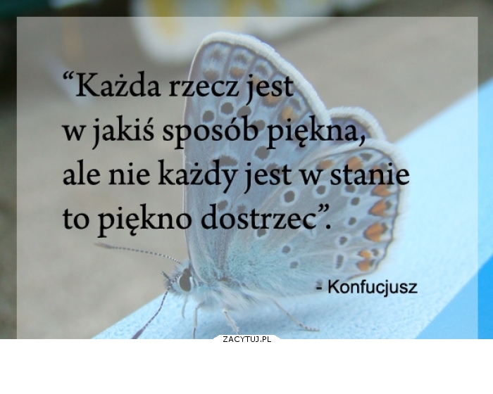 Piękno jest wszędzie..