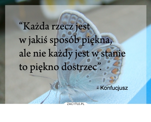 Piękno jest wszędzie..